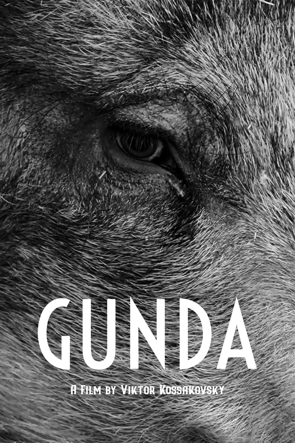 Gunda (2020) [40556] (A1703647842) [[Movies]] --Plex--